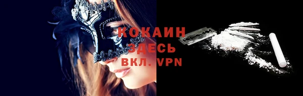тгк Богородицк